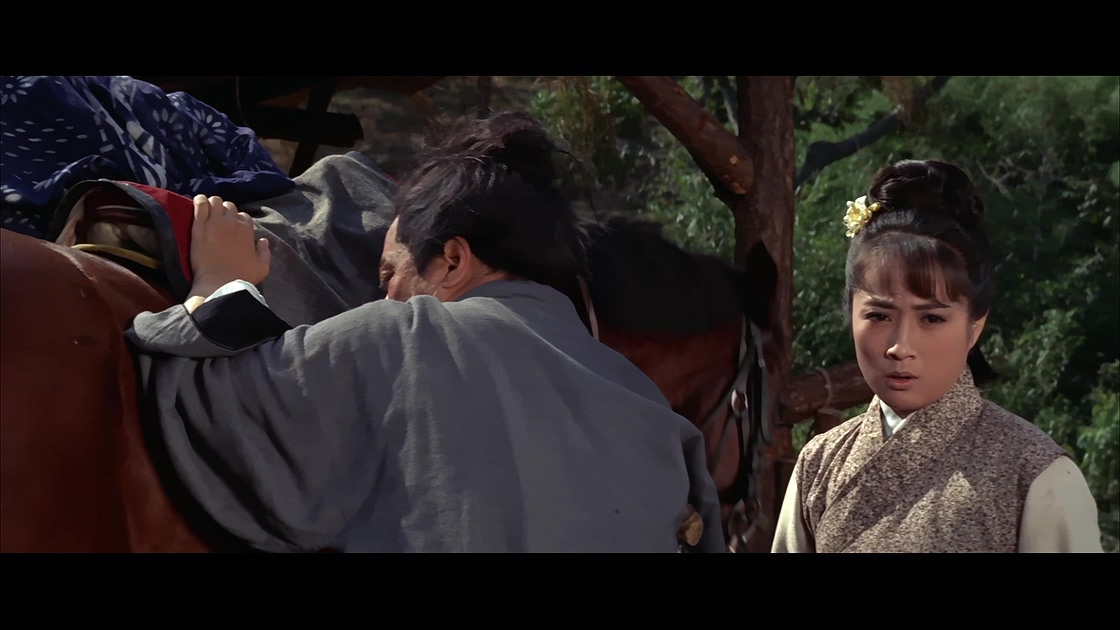 [飞燕金刀][邵氏].Vengeance Is a Golden Blade.1969.WEB-DL.4K.HEVC.AAC.国语中字[3..jpg