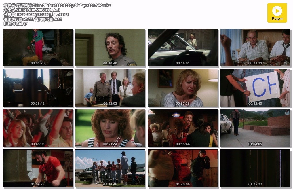 罪恶判官.China.OBrien.1990.1080p.BluRay.x264.AAC.mkv.jpg