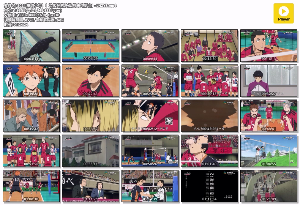 2024.排球少年！！垃圾场的决战[纬来电影台] - LNZYB.mp4.jpg
