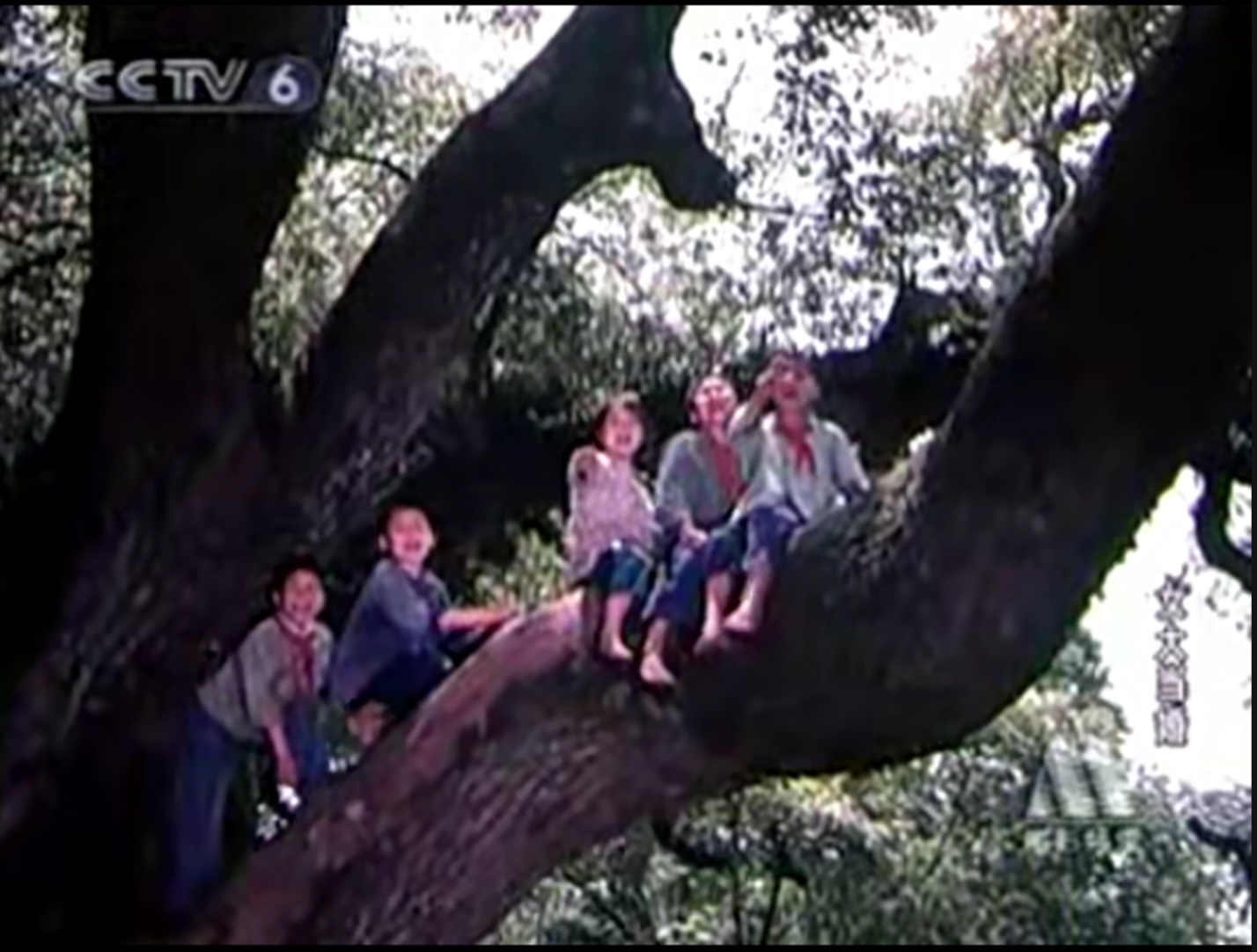 图像2025-2-5 16.07 (1).jpeg