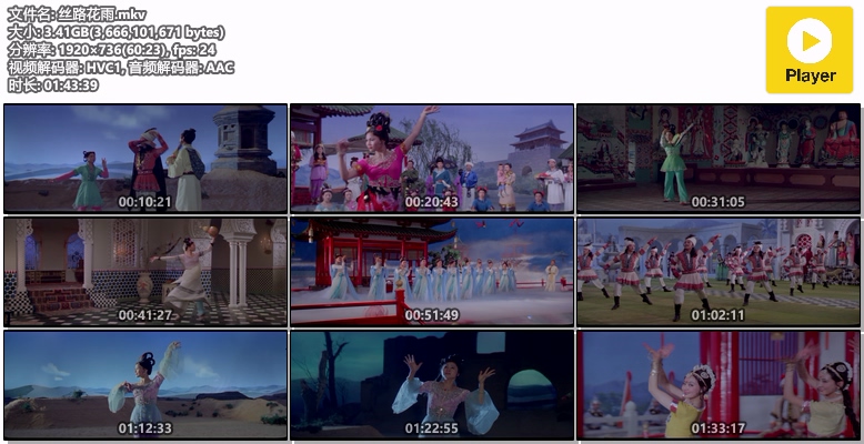 丝路花雨.mkv.jpg