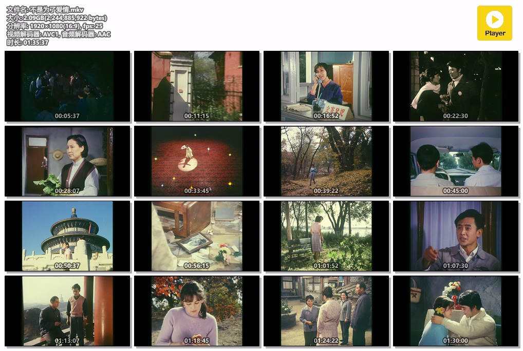 不是为了爱情.mkv.jpg