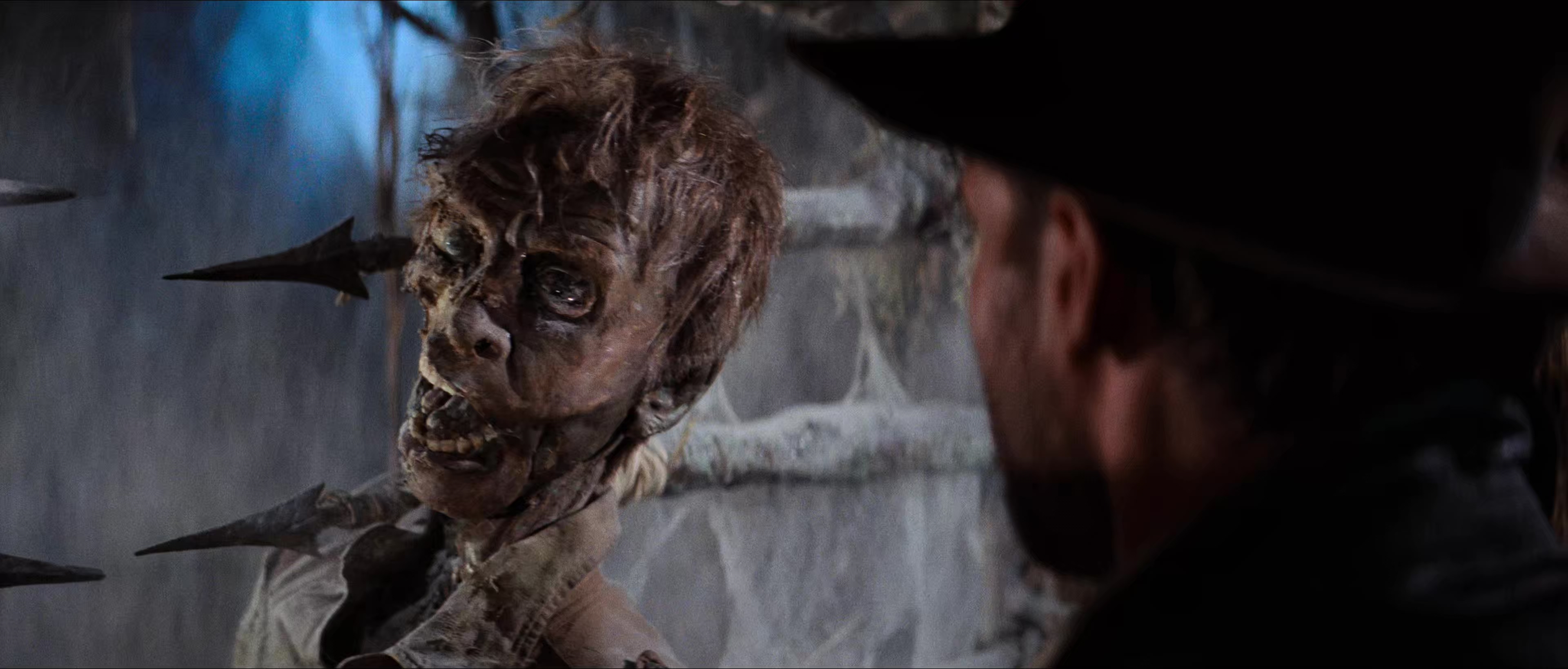 夺宝奇兵.央视 内参国配 粤语 双国配简繁.mkv_20250212_112821.921.jpg