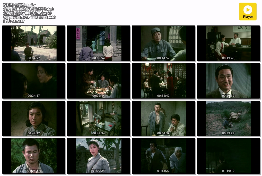 刀光虎影.mkv.jpg