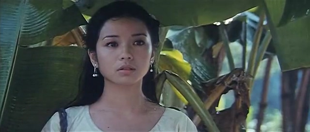 碧水寒山夺命金 (凤凰1980).mkv_20250305_173406.735.jpg