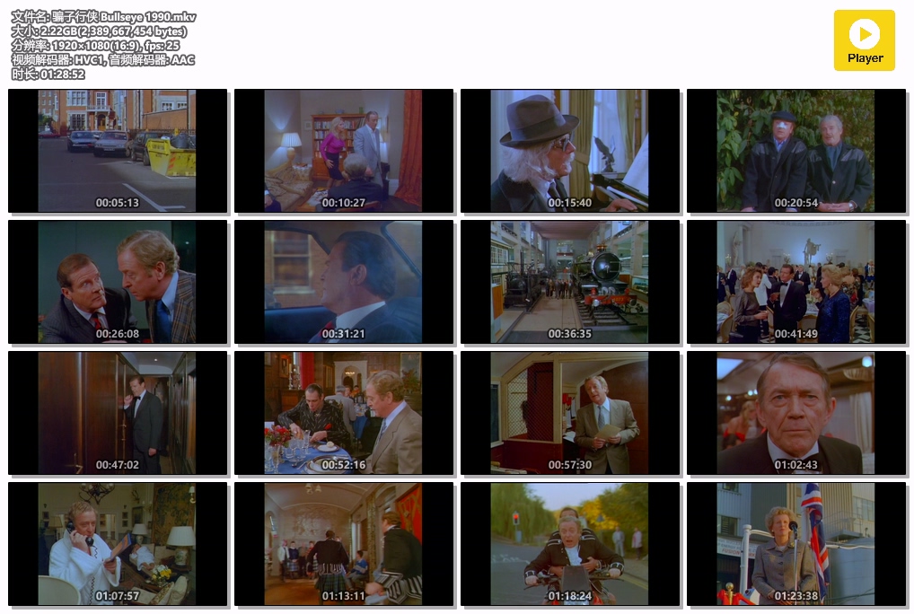 骗子行侠 Bullseye 1990.mkv.jpg
