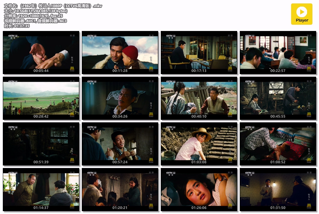 （1982年）牧马人1080P（CCTV6高清版）.mkv.jpg