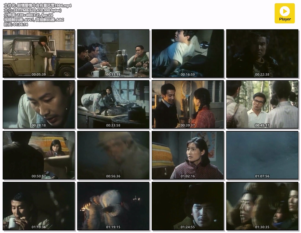 剧情爱情今夜有暴风雪1984.mp4.jpg