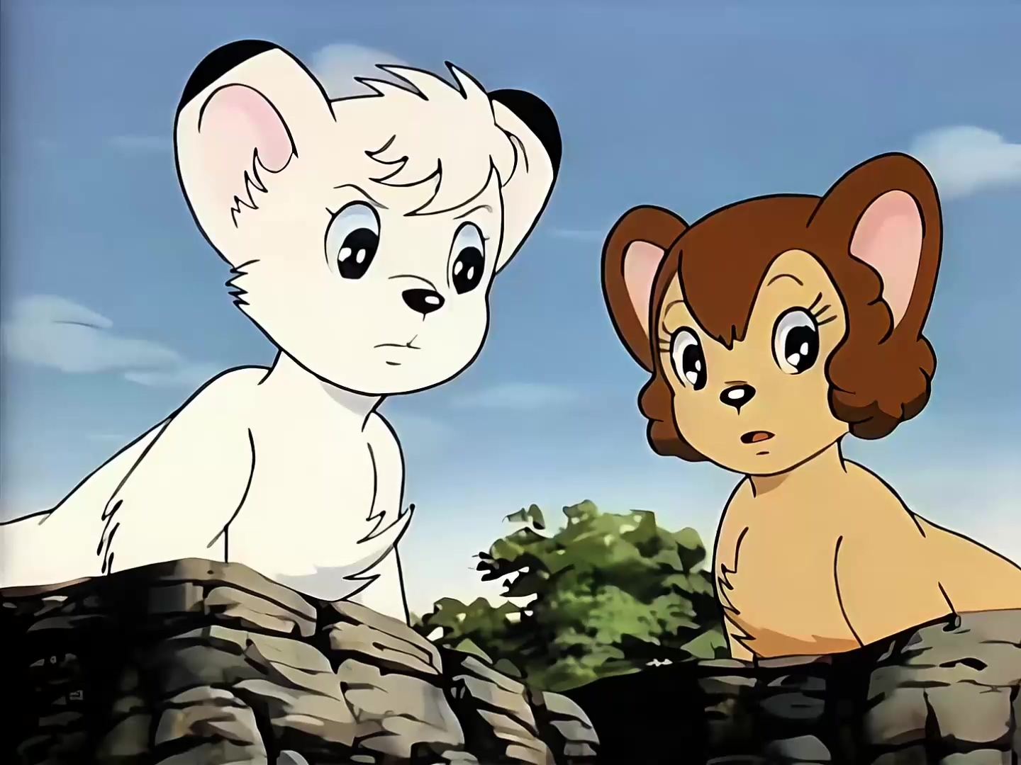 10 自由.mp4_20250316_115446.084.jpg