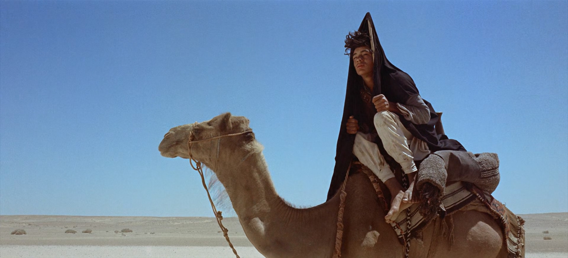阿拉伯的劳伦斯.Lawrence.Of.Arabia.1962.1080p.BluRay.x265.2audio-RARBG特效字幕.mk.jpg
