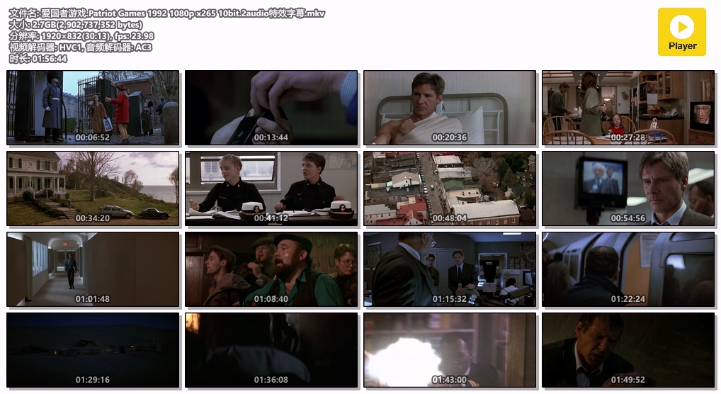 爱国者游戏.Patriot Games 1992 1080p x265 10bit.2audio特效字幕.mkv.jpg