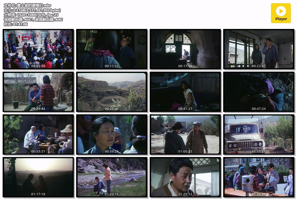 黄土坡的婆姨们.mkv.jpg