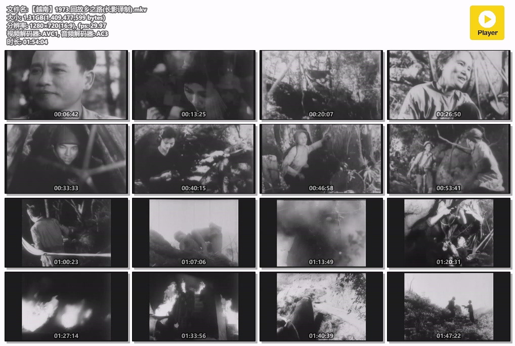 【越南】1973.回故乡之路(长影译制).mkv.jpg