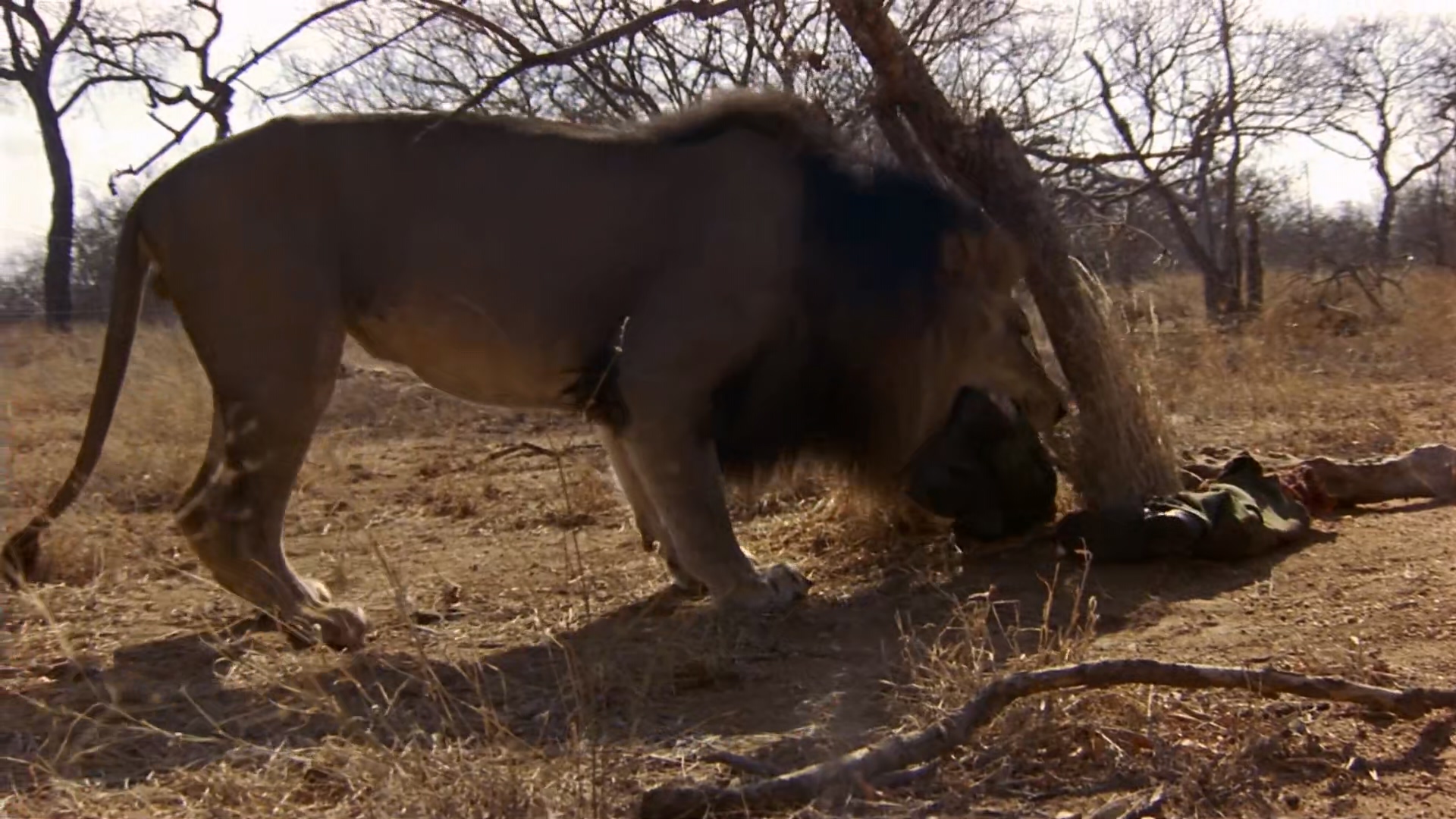 小鬼闹非洲Yankee.Zulu.1993.1080p.WEBRip.x264-RARBG (1).mkv_20250323_171100.770.jpg