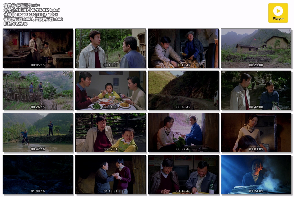 家在远方.mkv.jpg