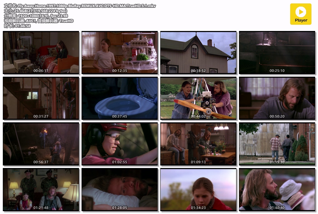 Fly.Away.Home.1997.1080p.BluRay.REMUX.AVC.DTS-HD.MA.TrueHD.5.1.mkv.jpg
