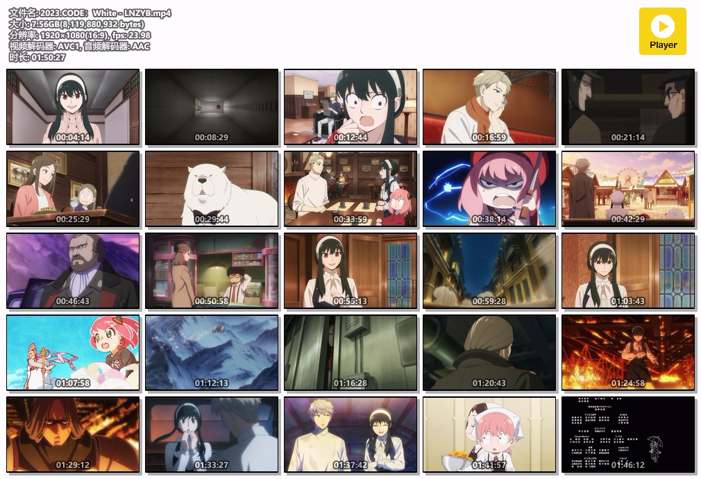 2023.CODE：White - LNZYB.mp4.jpg
