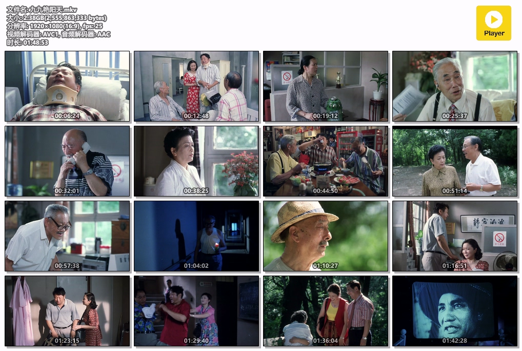 九九艳阳天.mkv.jpg