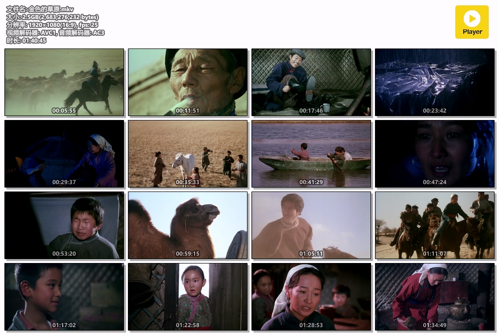 金色的草原.mkv.jpg