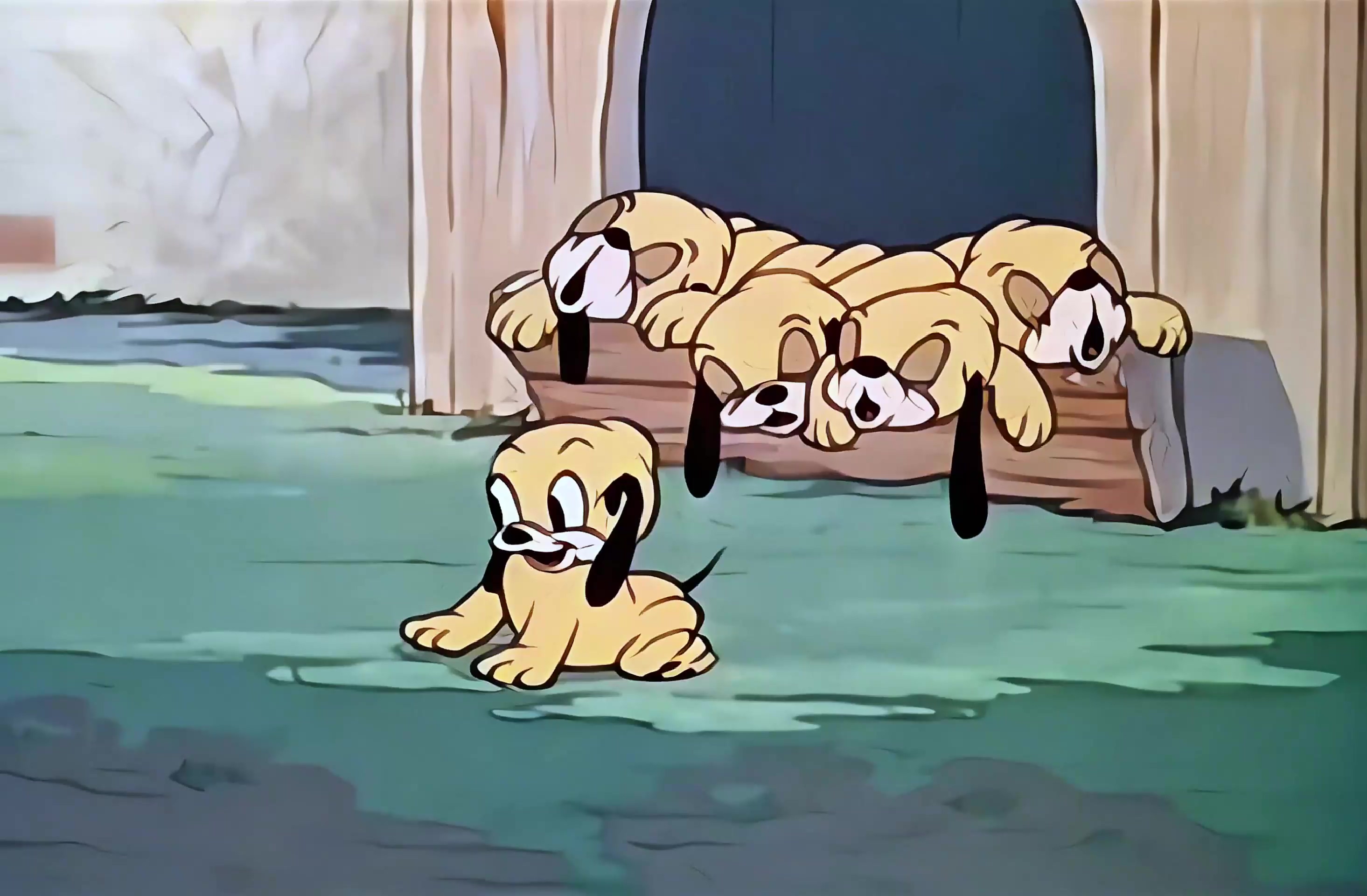 布鲁托 01.mkv_20250402_125557.120.jpg