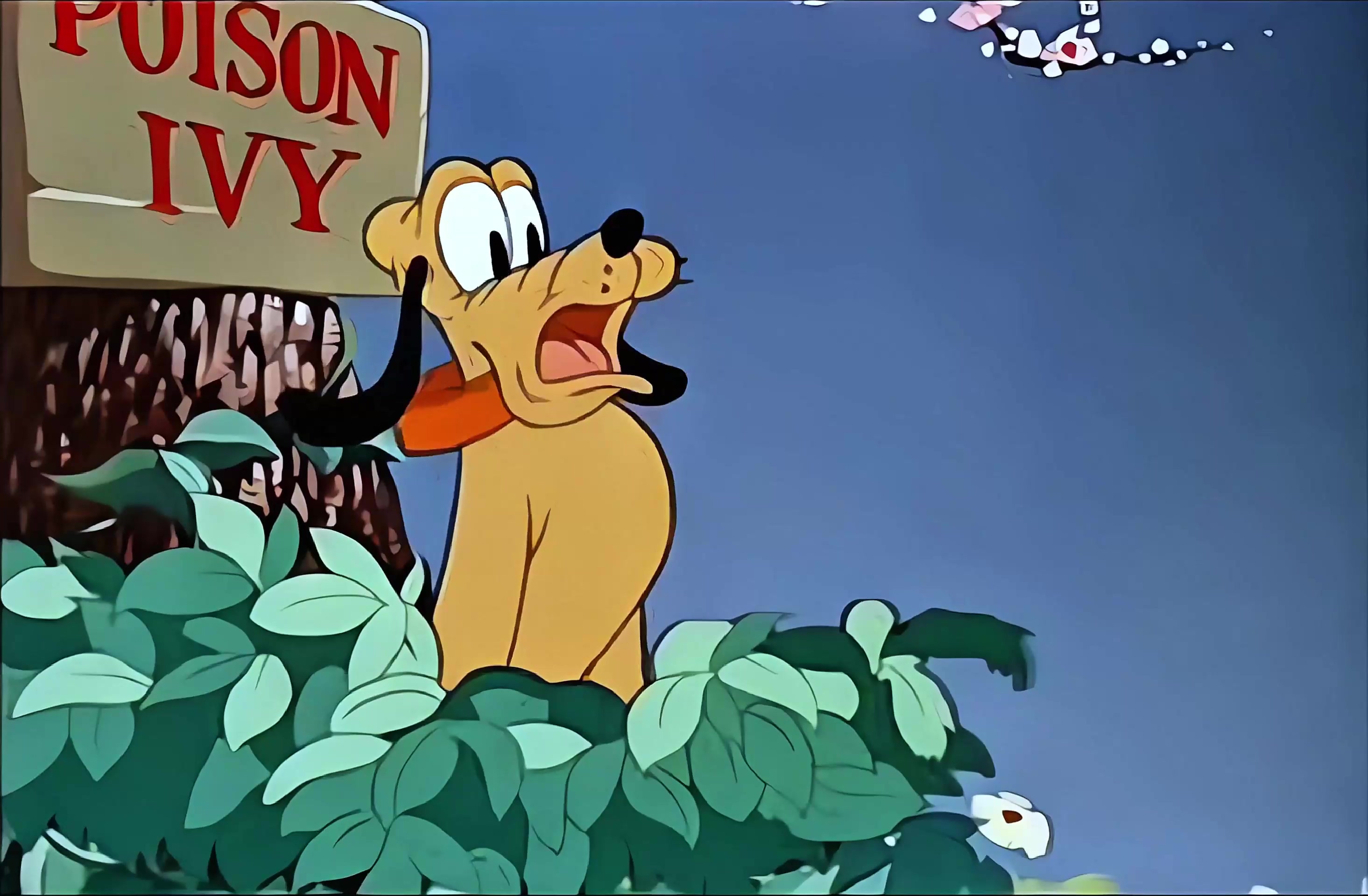 布鲁托 04.mkv_20250402_125845.291.jpg