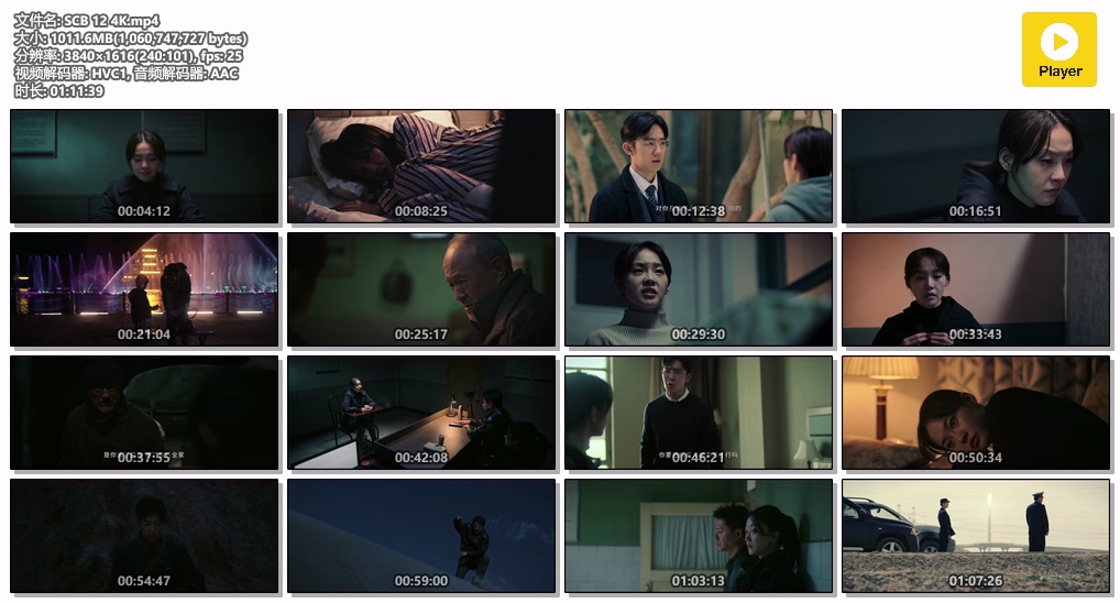 沙尘暴.SCB 12 4K.mp4.jpg