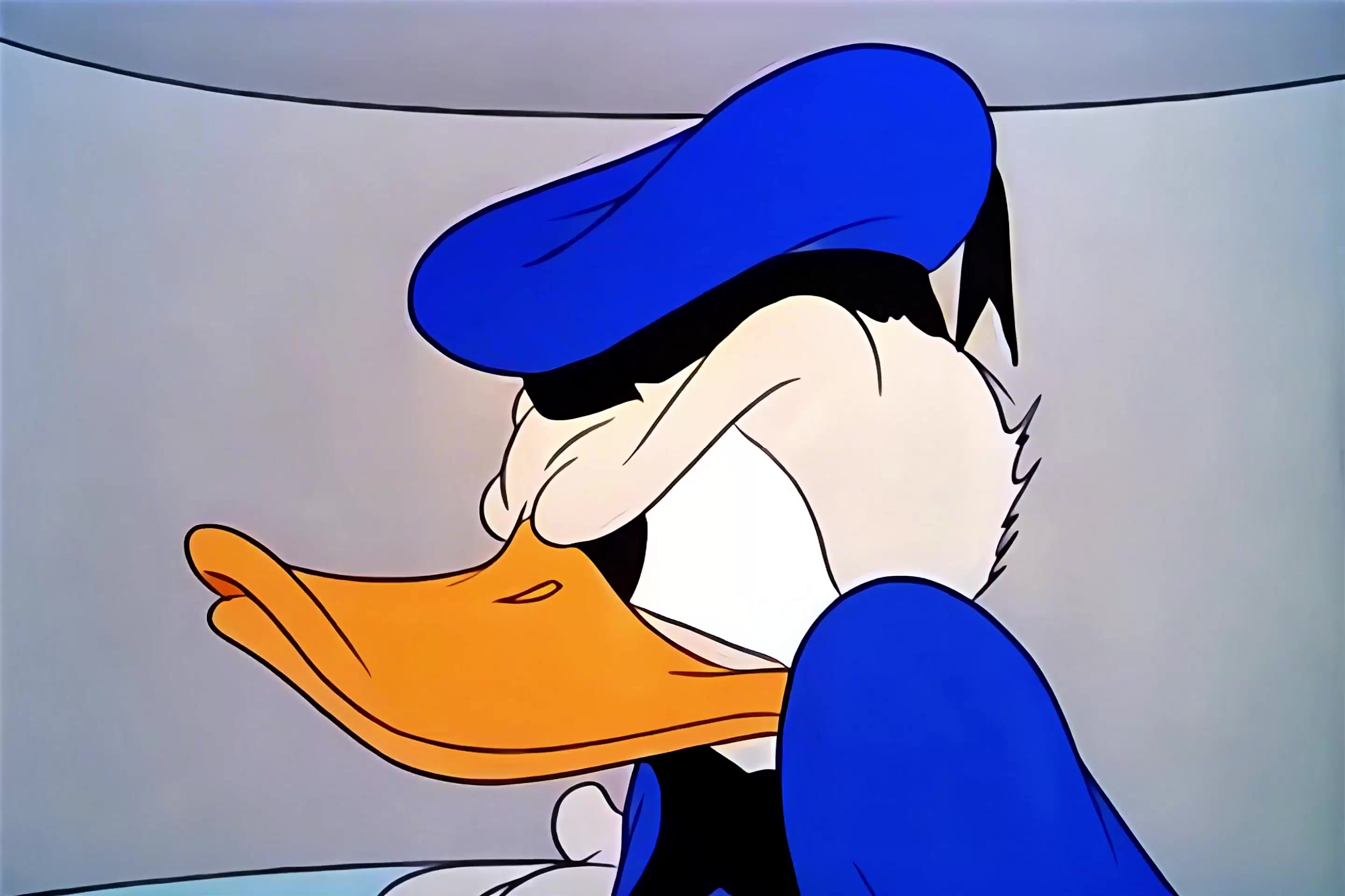 唐老鸭的幸福生活 26.mkv_20250405_020300.398.jpg