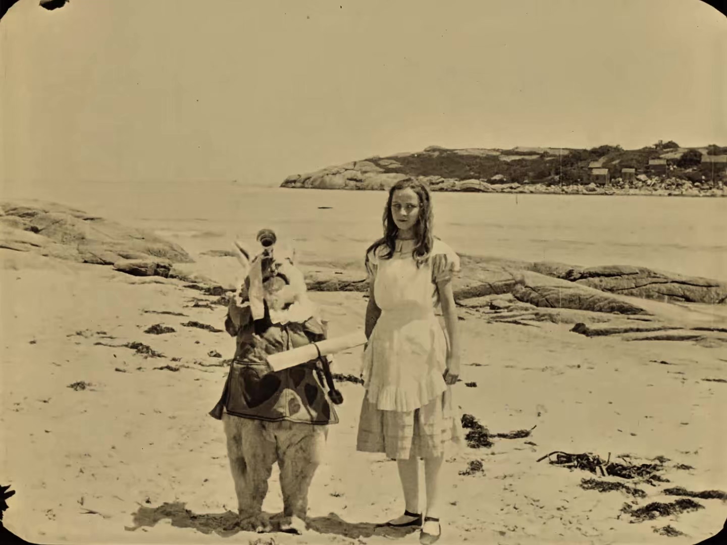 爱丽丝漫游仙境 1915.mp4_20250406_020003.975.jpg