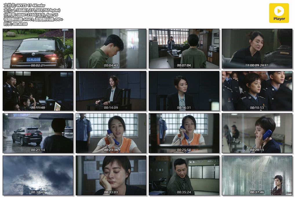 WYZS 17 4K.mkv.jpg