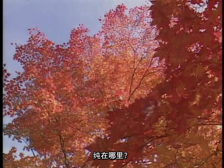 来自北国.北の国から.Kita no Kuni kara.1987初恋.mkv_20250410_214843.426.jpg