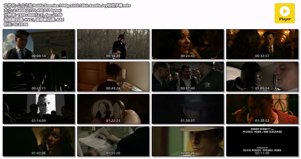 公众之敌.Public.Enemies.1080p.x265.10bit.4audio.Joy特效字幕.mkv.jpg