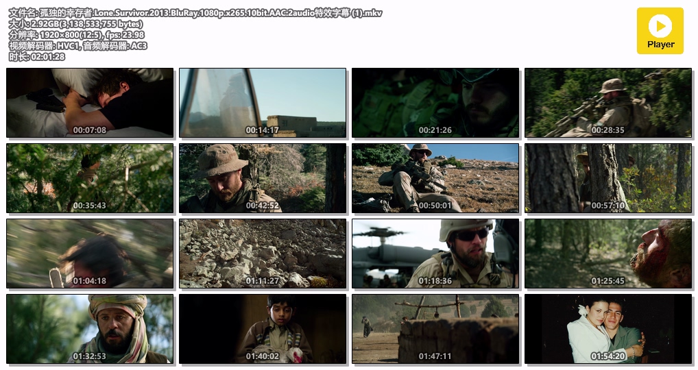 孤独的幸存者.Lone.Survivor.2013.BluRay.1080p.x265.10bit.AAC.2audio特效字幕 (1).mkv.jpg