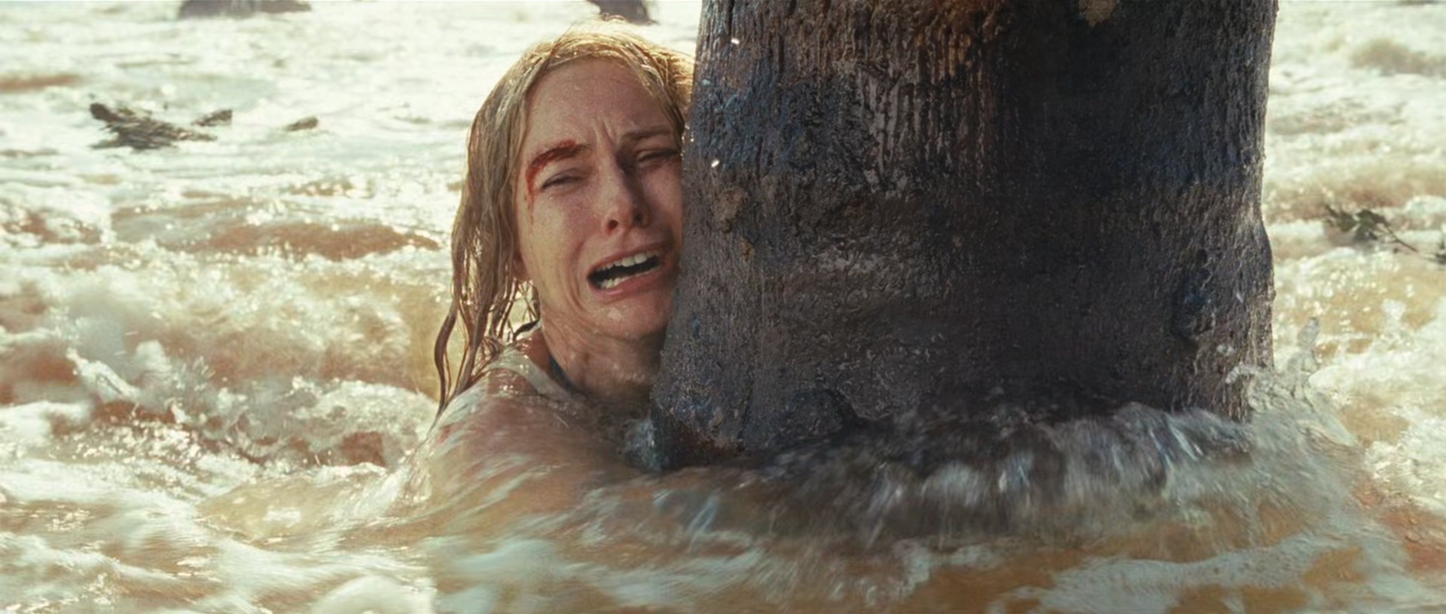 海啸奇迹.The.Impossible.2012.1080p.BluRay.x265.2audio-RARBG特效字幕 (1).mkv_2025.jpg