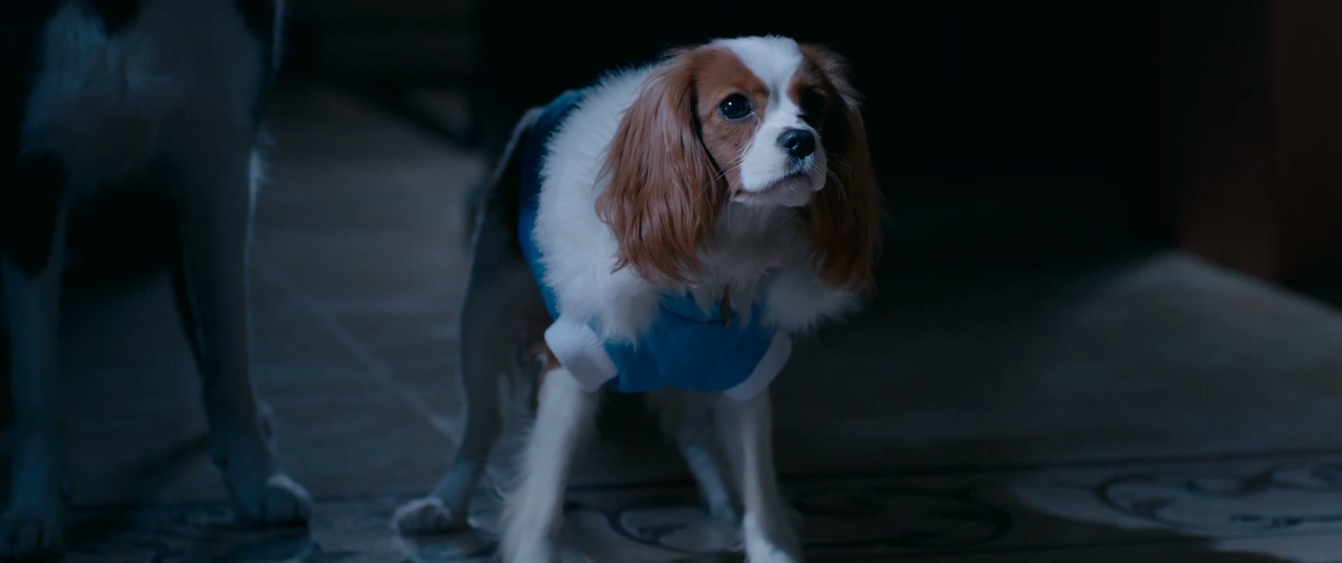 小狗当家 Ёлки лохматые (2015) BluRay 1080p 448kbp央视国俄双语.mkv_20.jpg