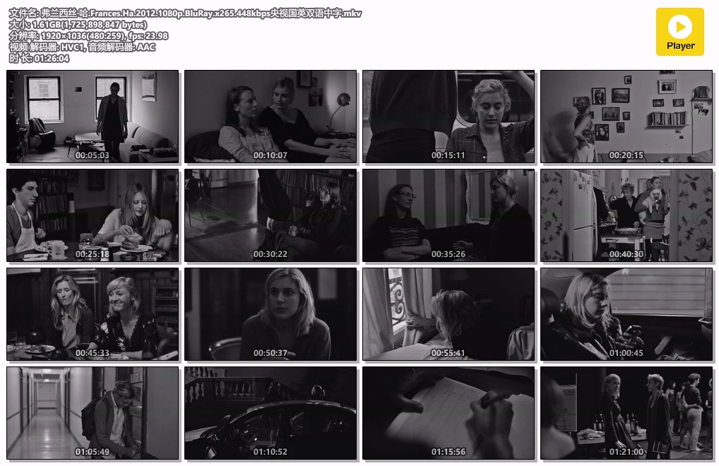 弗兰西丝·哈.Frances.Ha.2012.1080p.BluRay.x265.448kbps央视国英双语中字.mkv.jpg