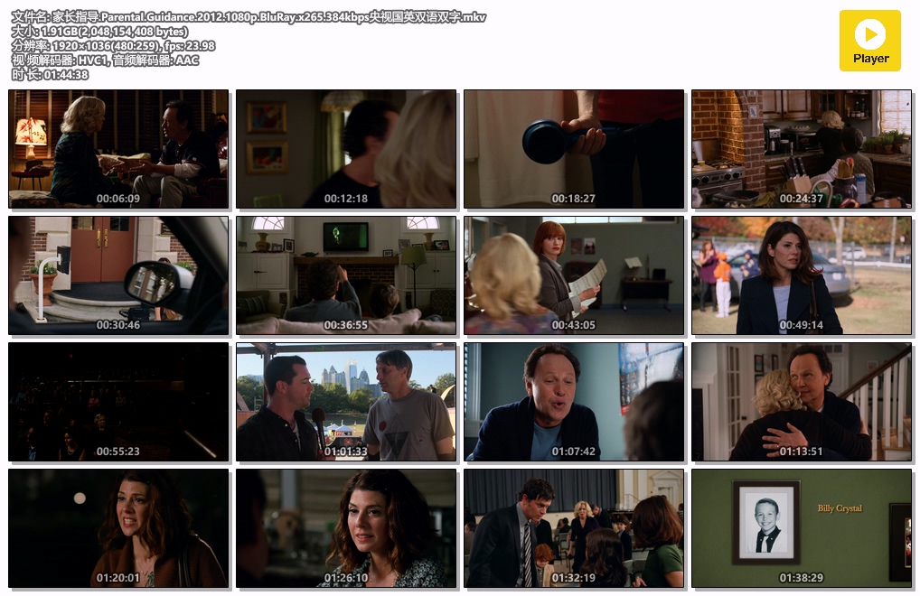 家长指导.Parental.Guidance.2012.1080p.BluRay.x265.384kbps央视国英双语双字.mkv.jpg