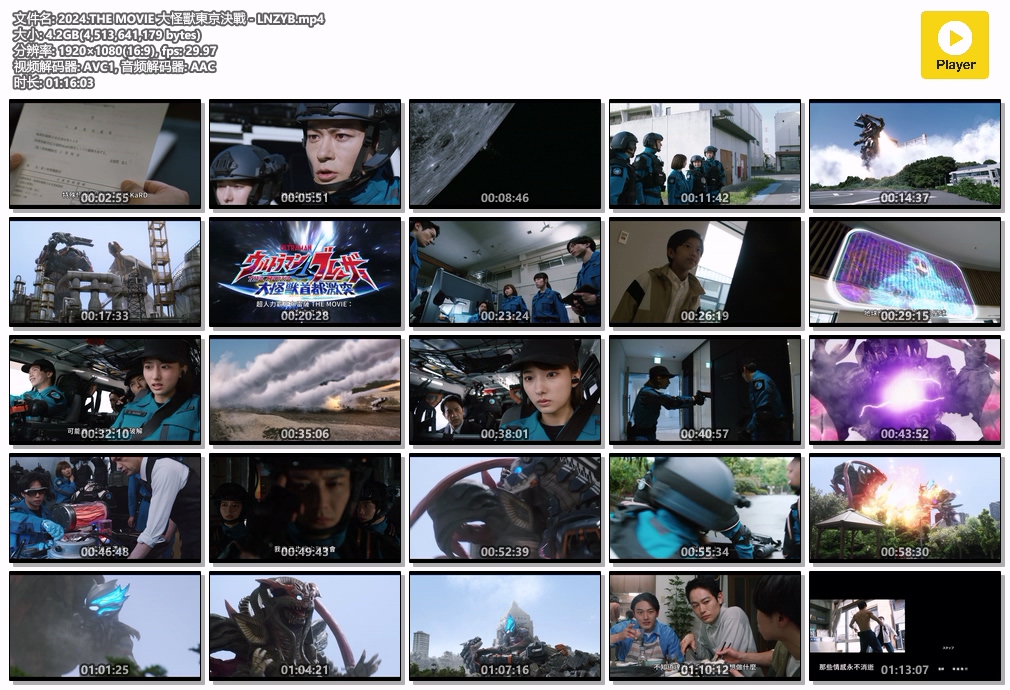 2024.THE MOVIE 大怪獸東京決戰 - LNZYB.mp4.jpg