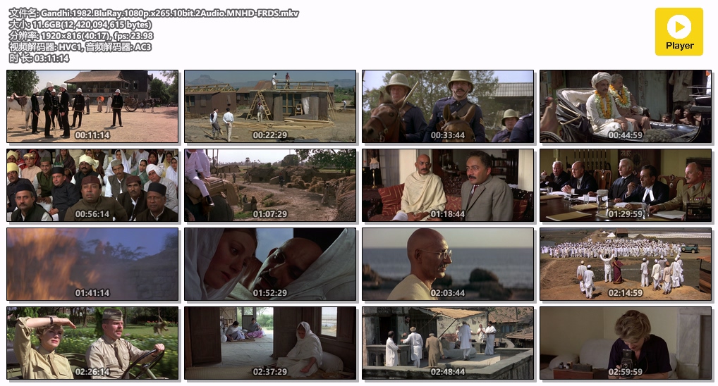 Gandhi.1982.BluRay.1080p.x265.10bit.2Audio.MNHD-FRDS.mkv.jpg