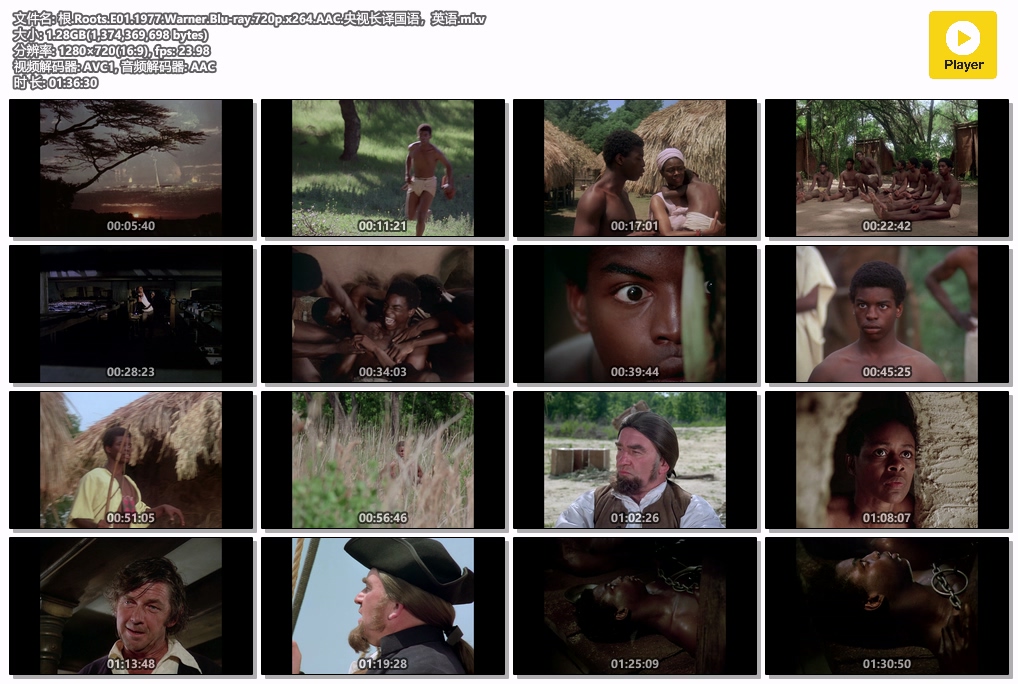 根.Roots.E01.1977.Warner.Blu-ray.720p.x264.AAC.央视长译国语，英语.mkv.jpg
