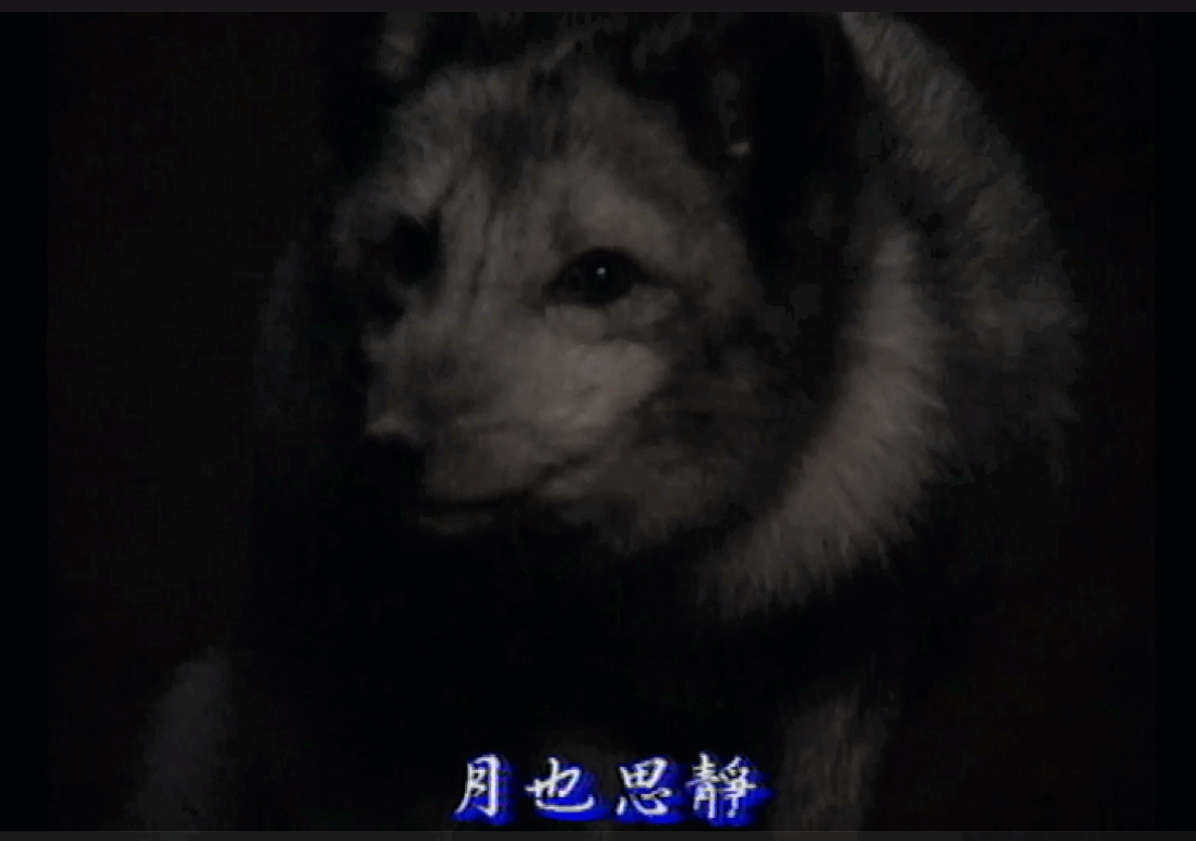 QQ截图20250428132555 (1).png