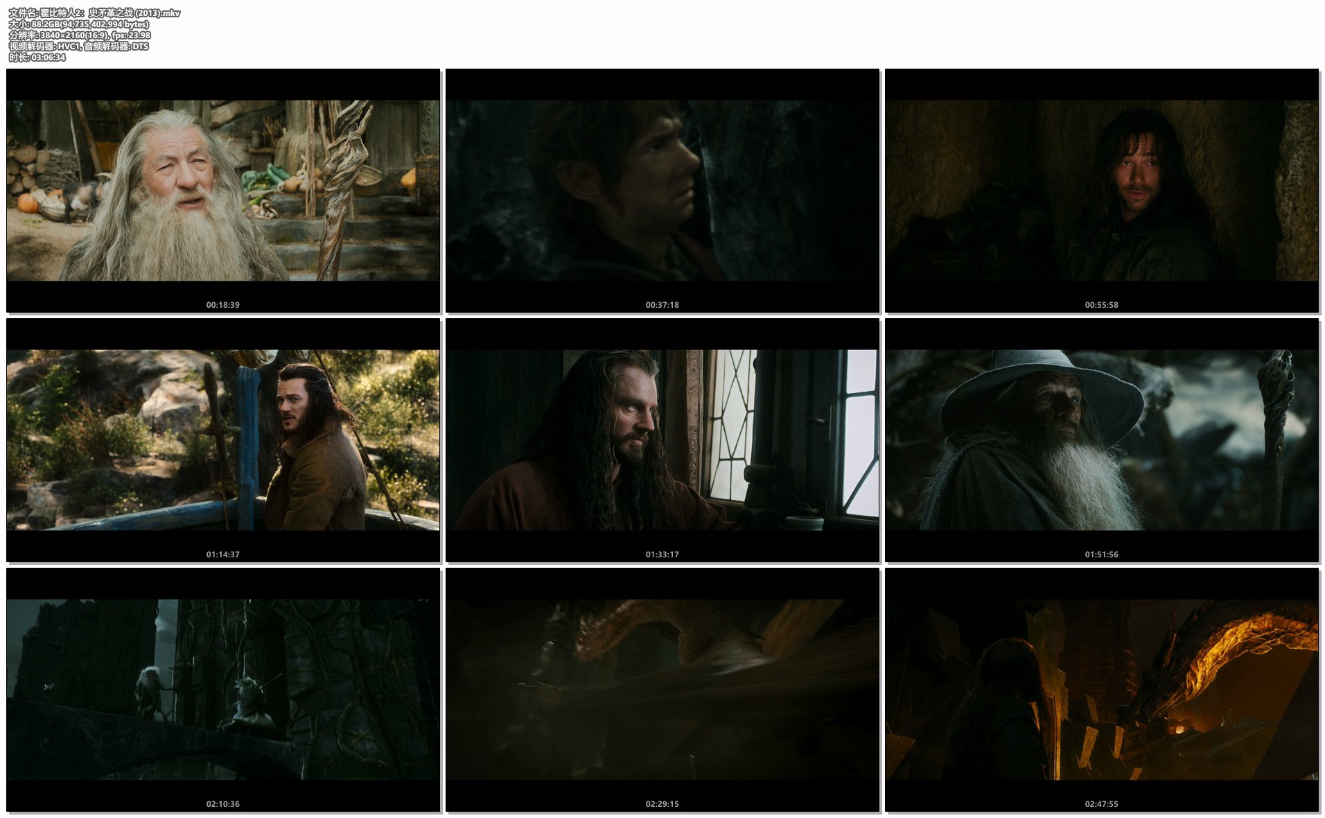 霍比特人2：史矛革之战 (2013).mkv.png
