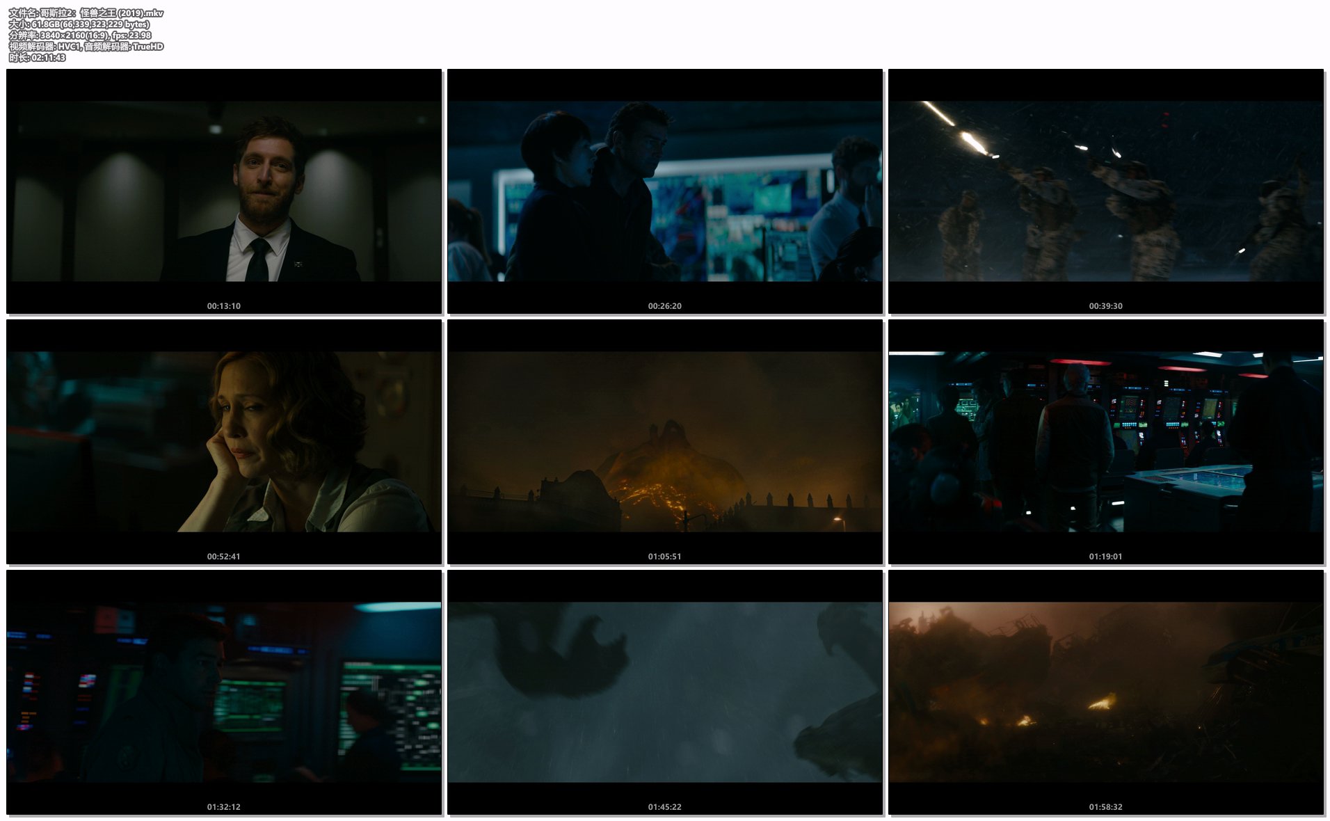 哥斯拉2：怪兽之王 (2019).mkv.png