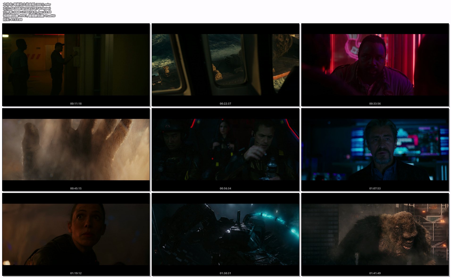 哥斯拉大战金刚 (2021).mkv.png