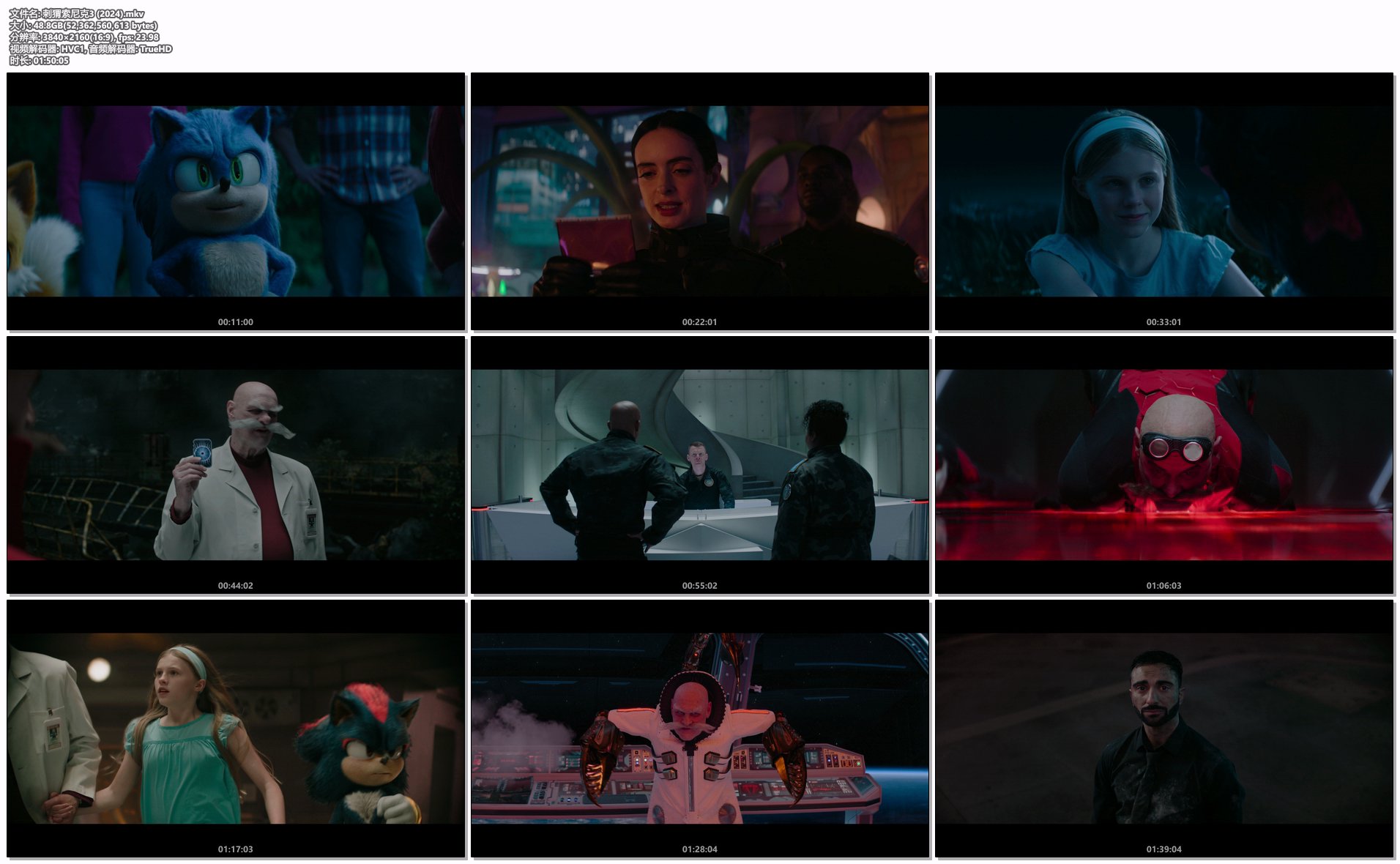 刺猬索尼克3 (2024).mkv.png