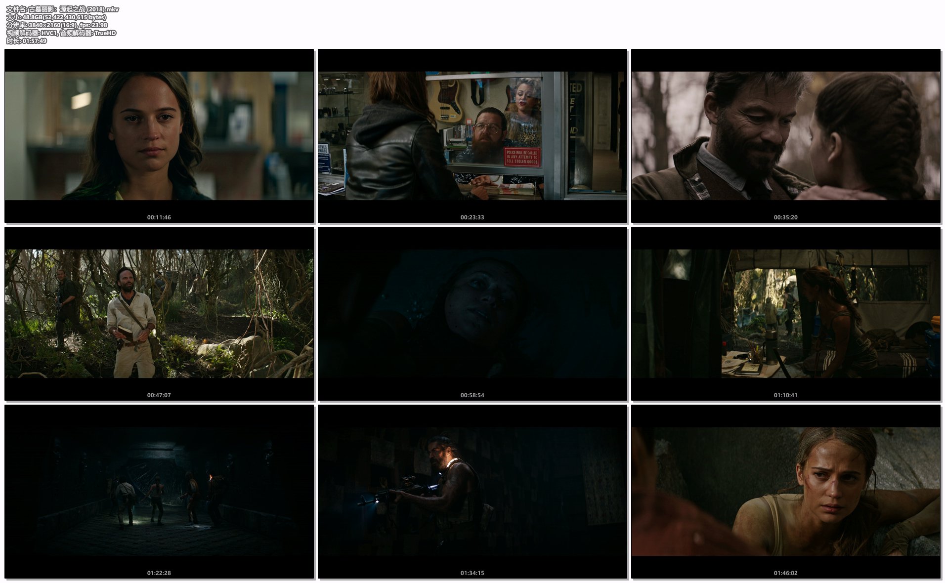 古墓丽影：源起之战 (2018).mkv.png