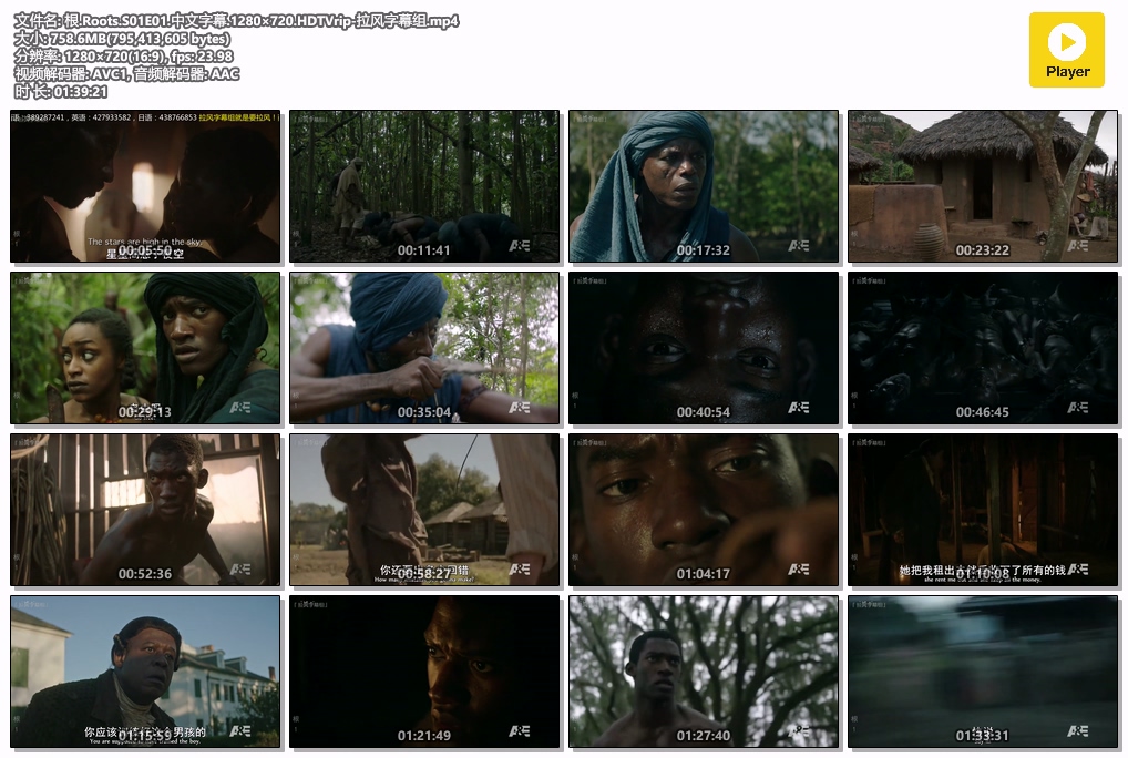 根.Roots.S01E01.中文字幕.1280×720.HDTVrip-拉风字幕组.mp4.jpg