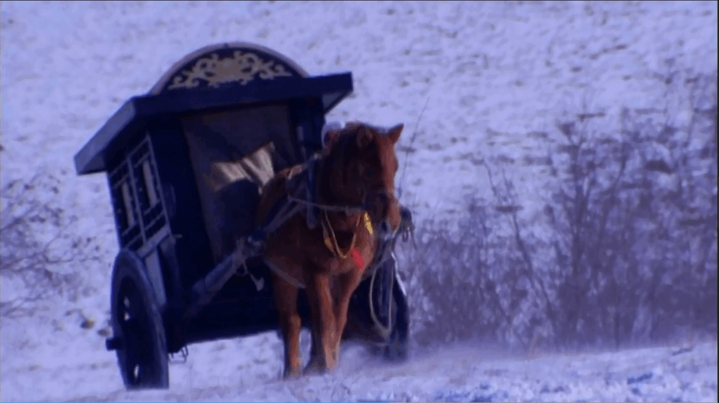 QQ截图20250503150855 (1).png