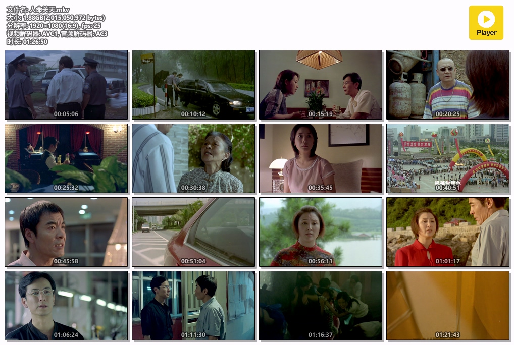 人命关天.mkv.jpg