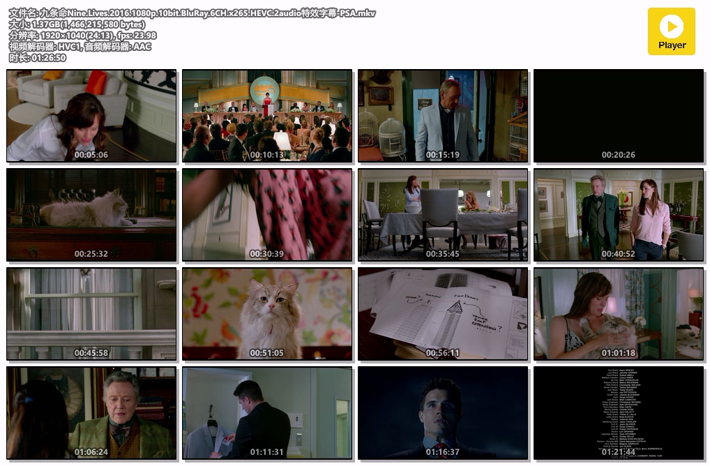 九条命Nine.Lives.2016.1080p.10bit.BluRay.6CH.x265.HEVC.2audio特效字幕-PSA.mkv.jpg