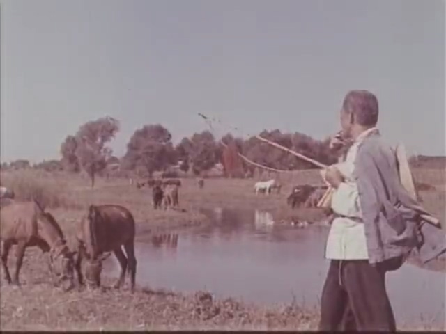 战洪图.Zhan hong tu.1973.DVD.X264.AAC.HALFCD.mkv_20250506_163515.315.jpg